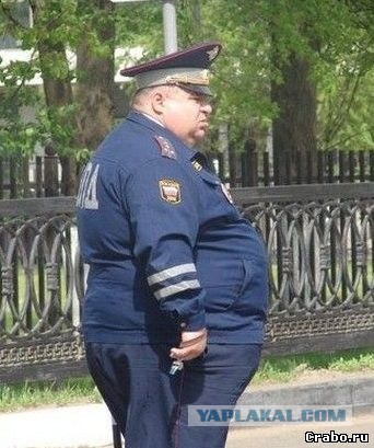 Интеллигентный ДПСник