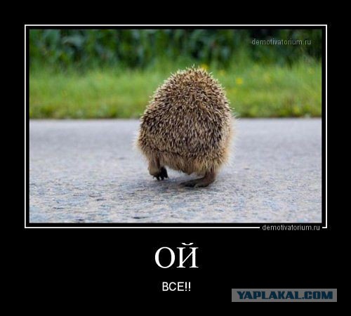 Весёлое из сети