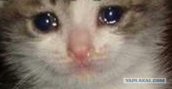 Разоблачение участников Битвы экстрасенсов