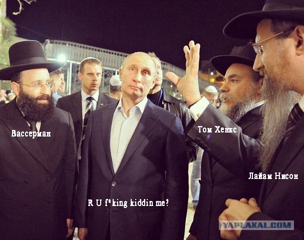 Свой среди своих