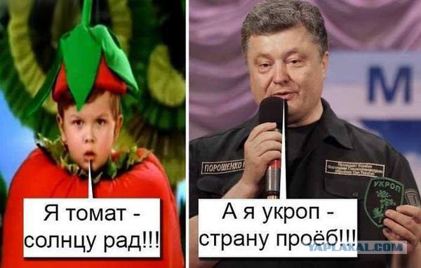 Секта в желто-синем