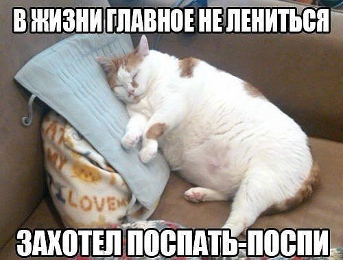 Пятничные картинки