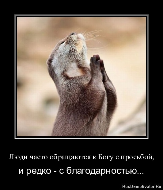 Вы хотите "демов"? часть 2-я