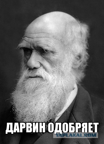 Юный руфер погиб