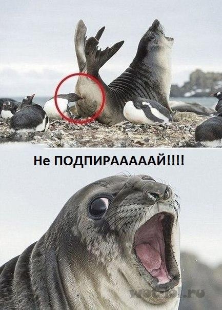 Чуть-чуть танков WoT