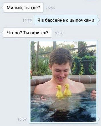 Немного веселых картинок