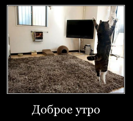 Кто какая нечисть по знаку зодиака