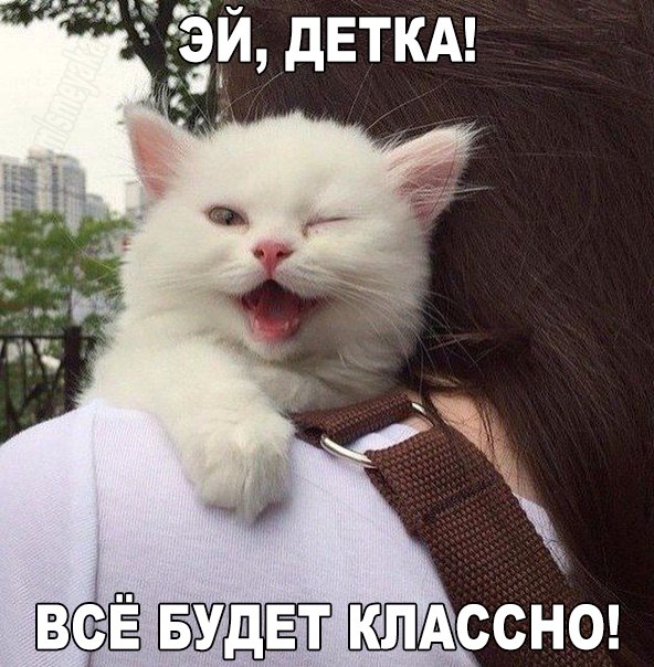 Подборка картинок 16.02.16