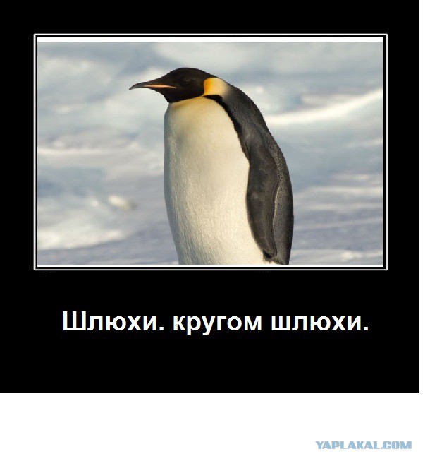 Необычные и странные факты про секс, которые многие, скорее всего, и не знали