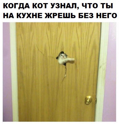 Картинки смешные и несмешные