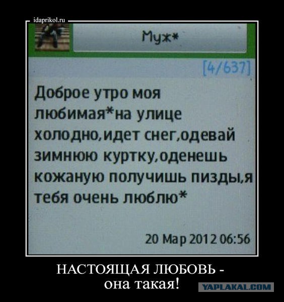 Интересные и веселые картинки