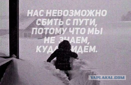 Почему русские принимают реальность спокойно