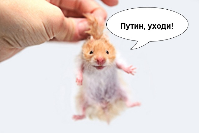 Отчет партии Сталина перед народом