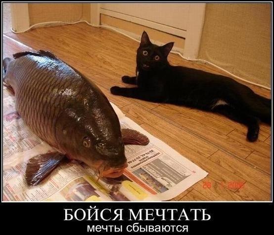 Подборка интересных и смешных картинок