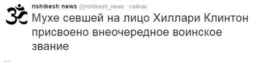 У мухи, севшей на бровь Клинтон, появился аккаунт в Twitter
