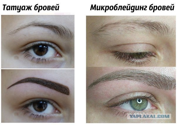 Я в отчаянии.
