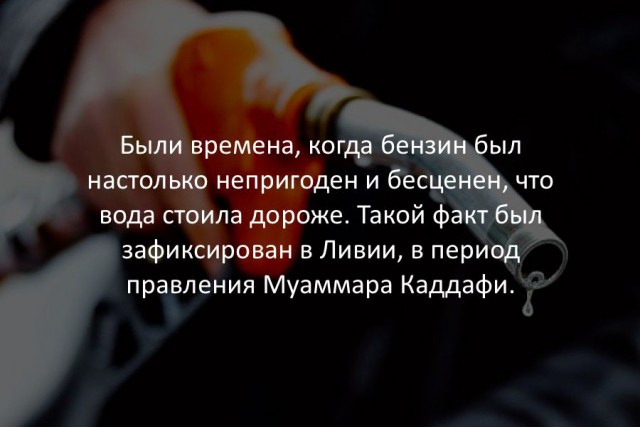 40 интересных фактов в картинках.