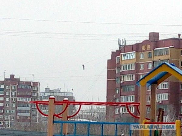 В Курске разбился мужчина, переходивший по проводам с одного дома на другой