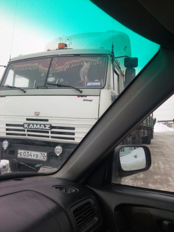 Подборка интересных и веселых картинок