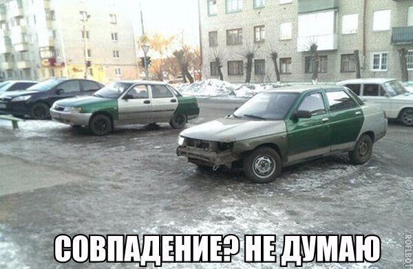 Подборка безудержного веселья