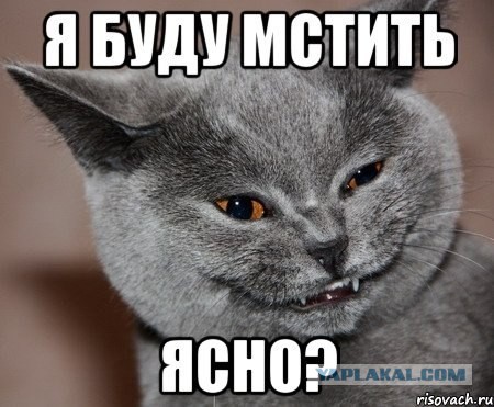 17 котиков, которых подло предали их же хозяева (возможно, даже ты)