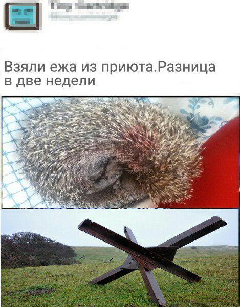 Субботняя деградация