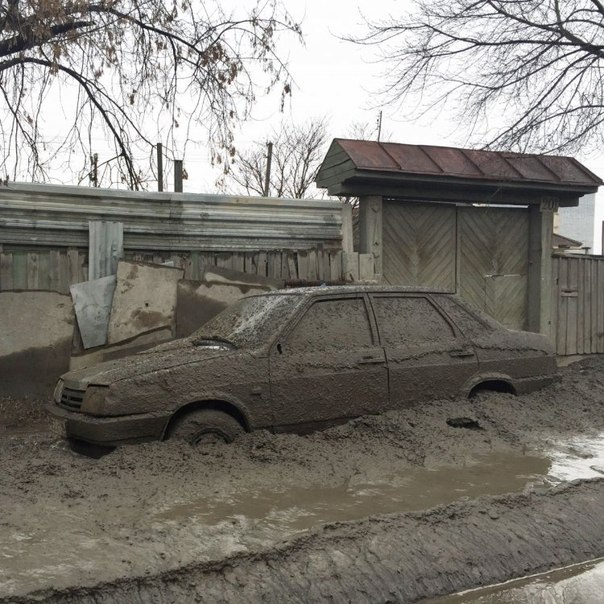 Тупик эволюции