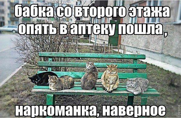 Вечер пятницы подкатил, час картинок наступил!