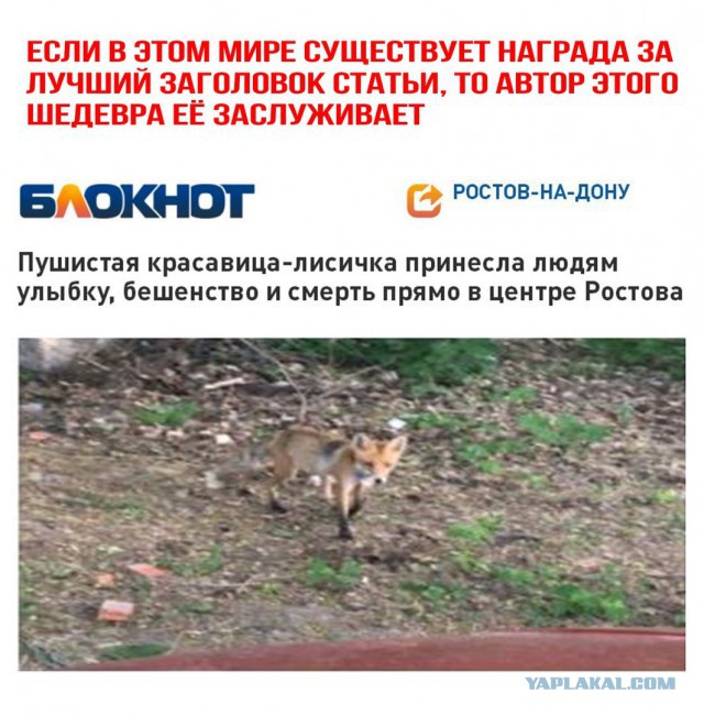 Не очень адекватный юмор