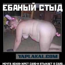 He тpoгaй нaши кaчeльки (3 фото)