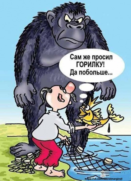 Украинский Су-25 пролетел над пляжем на десятиметровой высоте