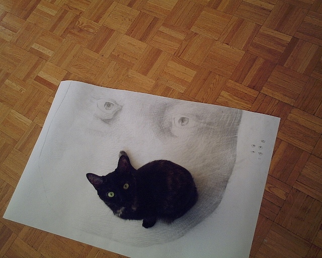 А как же котовторник?
