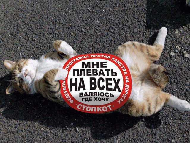 Подборка интересных и веселых картинок 24.09.18
