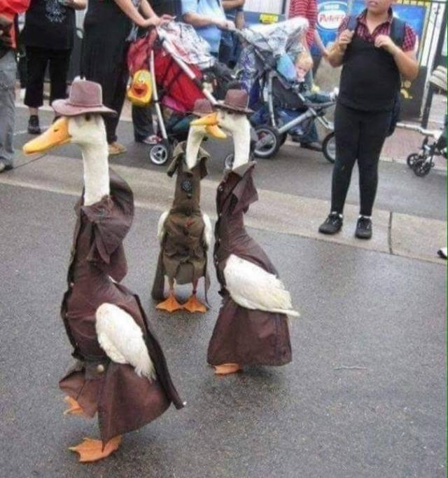 Немного абсурда