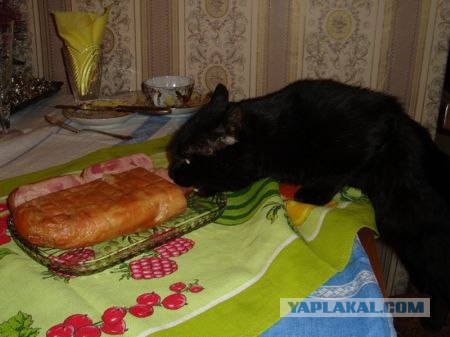 А силенок-то хватит?