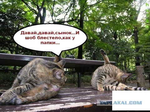 Яйца раздора: мыть или не мыть
