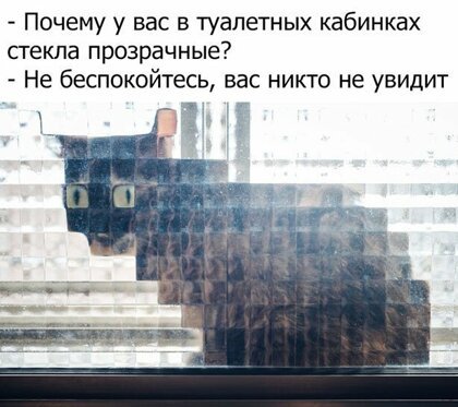Картинки с надписями, истории и анекдоты 08.10.19