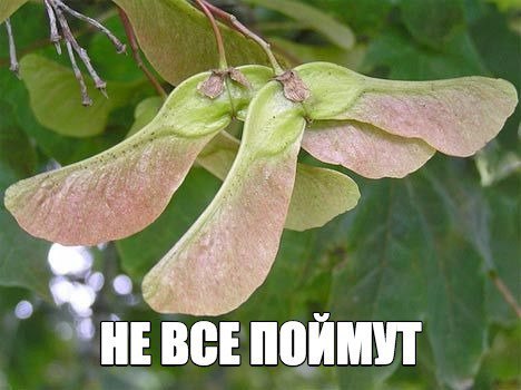 Немного картинок для настроения 23.12.19