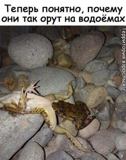 Так себе картинки 01.06.20