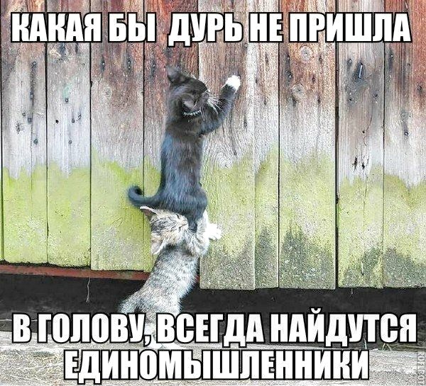 Немного картинок для настроения 116