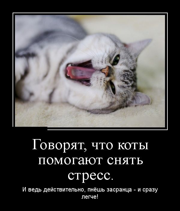Мужчины сами виноваты в низком качестве современных женщин!