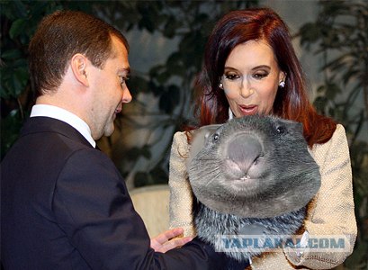 Россия и Аргентина
