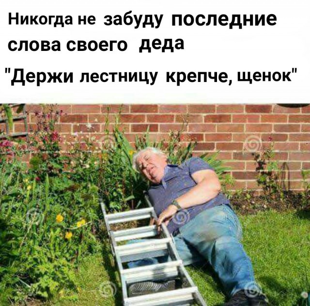 Юмор в картинках 6.12.20
