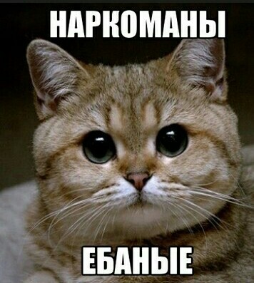 Вот что произойдёт, если шмель немного "дунет"
