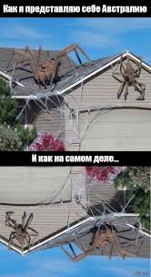 Мои пять копеек про иммиграцию в Австралию.