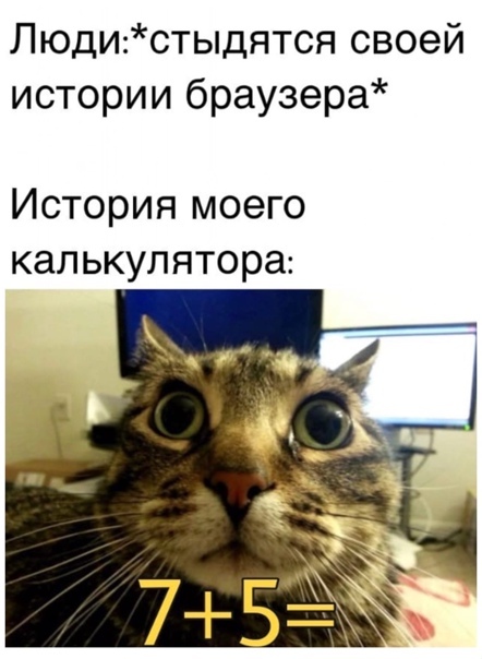 Картинки и мемы для настроения 02.02.2021