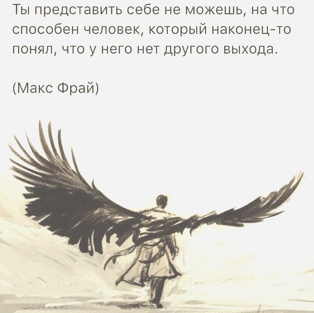 Подборка картинок 03.02.2021, часть 2