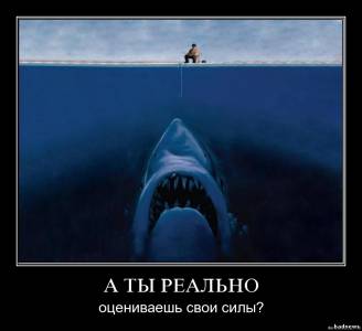 Наживка на акулу
