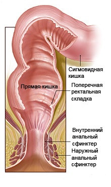 Не хочу прививку