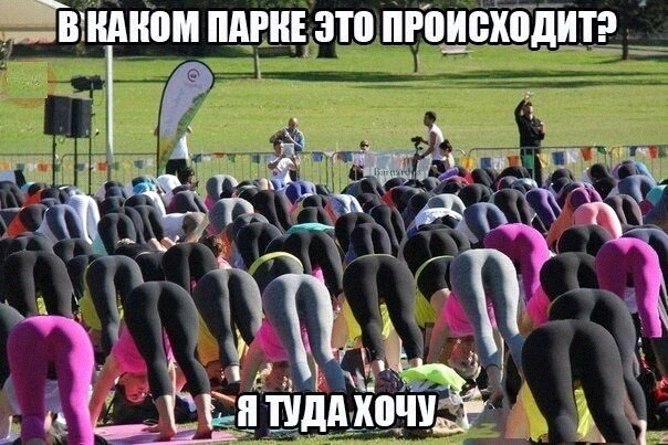 Картинки и мемы для настроения - 15
